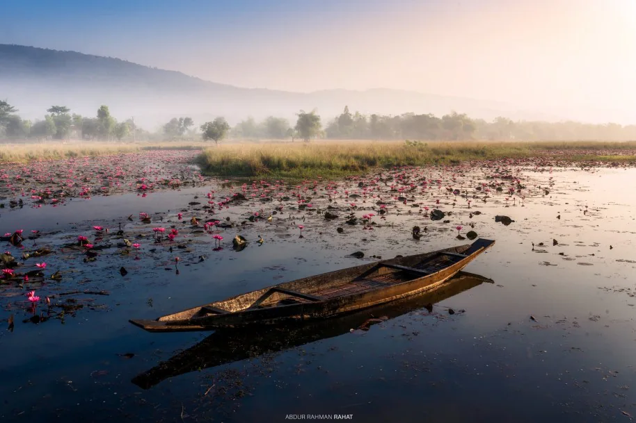 Photograph by member