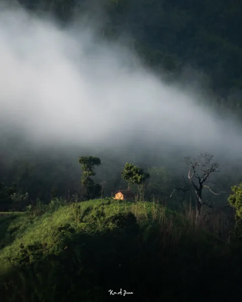 Photograph by member