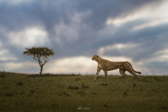 Photograph by member